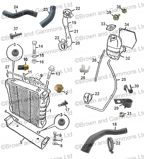 Image for Radiator and Hoses